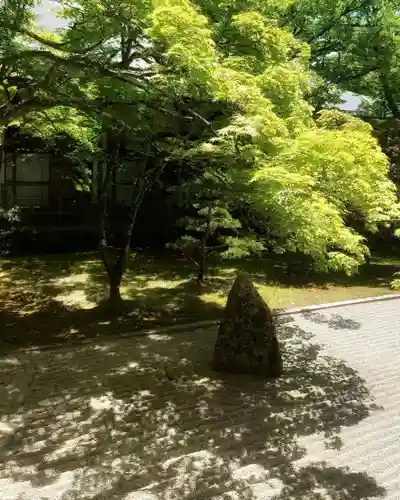 高野山金剛峯寺の庭園