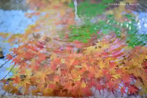 鶴岡八幡宮の手水舎