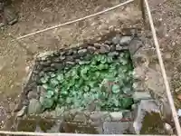 滝口神社のその他建物