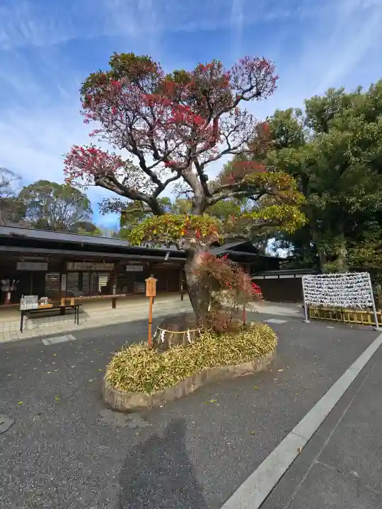 (山田)伊射奈岐神社の{uncategorized: "未分類", other: "その他", undefined: "問題あり", building: "その他建物", grave: "お墓", sacred_gate: "鳥居", guardian: "狛犬", statue: "像", buddha: "仏像", history: "歴史", nature: "自然", garden: "庭園", animal: "動物", pagoda: "塔", temizu: "手水舎", mountain_gate: "山門・神門", sanctuary: "本殿・本堂", subordinate: "末社・摂社", art: "芸術", scenery: "景色", jizo: "地蔵", ema: "絵馬", goshuin: "御朱印", omikuji: "おみくじ", items: "授与品その他", amulet: "お守り", goshuincho: "御朱印帳", eats: "食事", festival: "お祭り", votive_dance: "神楽", shichigosan: "七五三参", wedding: "結婚式", experience: "体験その他", initially: "初詣", around: "周辺", anti_infection: "感染症対策"}