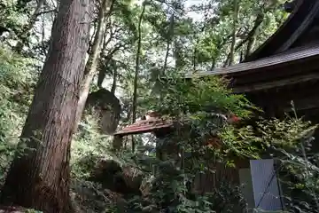 姥宮神社(埼玉県)