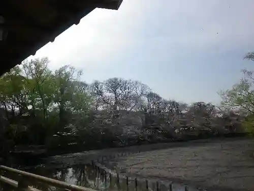 鶴岡八幡宮の庭園