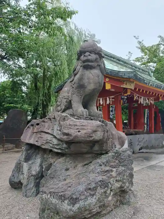 浅草神社の狛犬