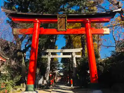 馬橋稲荷神社の鳥居