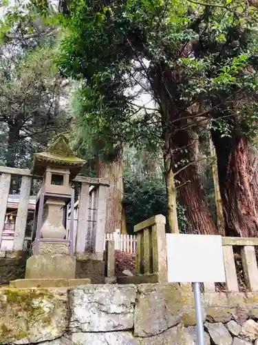 天鷹神社(岐阜県)
