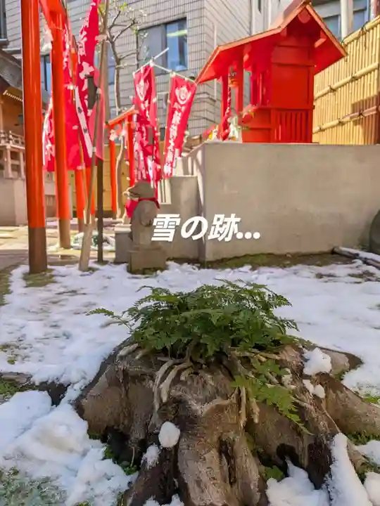 高円寺氷川神社(東京都)