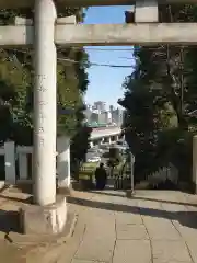 赤羽八幡神社の鳥居