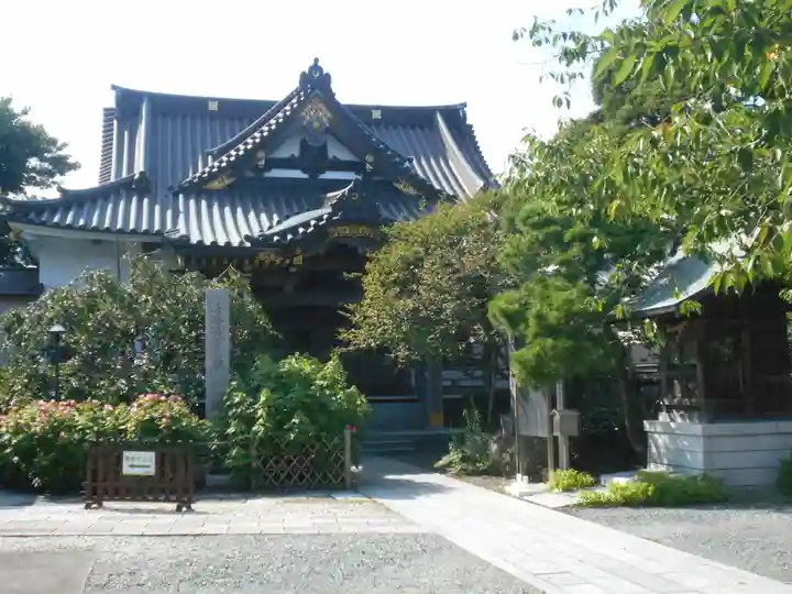 妙隆寺の本殿・本堂