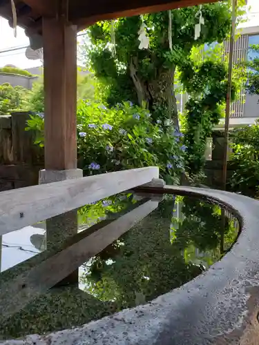麻布氷川神社の手水舎
