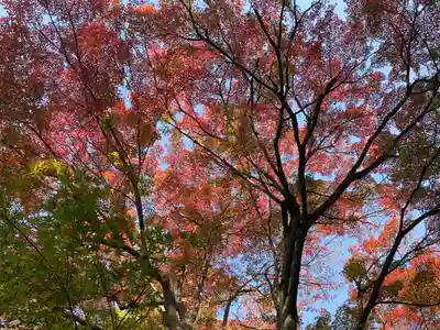 赤山禅院(京都府)