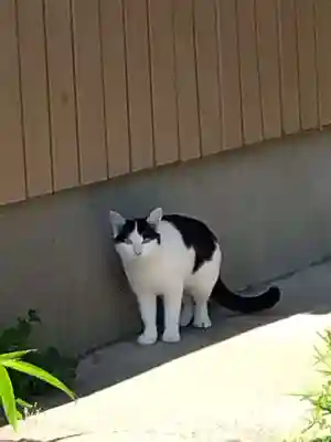 五郎兵衛稲荷神社(茨城県)