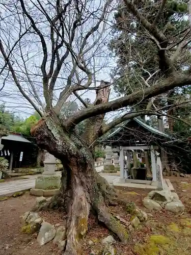 神炊館神社 ⁂奥州須賀川総鎮守⁂のその他建物