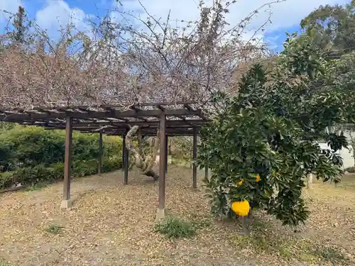 法華寺(奈良県)