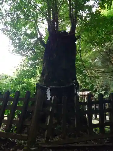 大元神社（宇佐神宮奥宮）(大分県)