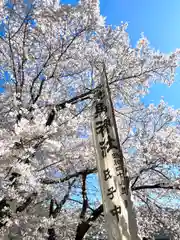 上洗馬神社のお祭り