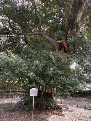 旦椋神社の{uncategorized: "未分類", other: "その他", undefined: "問題あり", building: "その他建物", grave: "お墓", sacred_gate: "鳥居", guardian: "狛犬", statue: "像", buddha: "仏像", history: "歴史", nature: "自然", garden: "庭園", animal: "動物", pagoda: "塔", temizu: "手水舎", mountain_gate: "山門・神門", sanctuary: "本殿・本堂", subordinate: "末社・摂社", art: "芸術", scenery: "景色", jizo: "地蔵", ema: "絵馬", goshuin: "御朱印", omikuji: "おみくじ", items: "授与品その他", amulet: "お守り", goshuincho: "御朱印帳", eats: "食事", festival: "お祭り", votive_dance: "神楽", shichigosan: "七五三参", wedding: "結婚式", experience: "体験その他", initially: "初詣", around: "周辺", anti_infection: "感染症対策"}