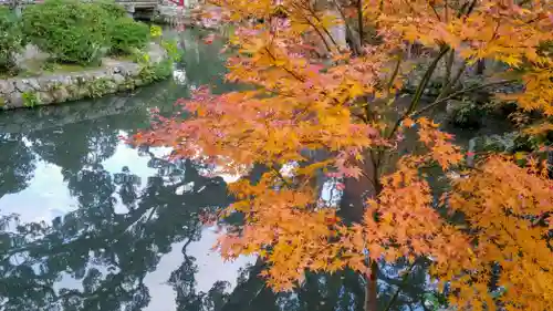 太宰府天満宮の自然