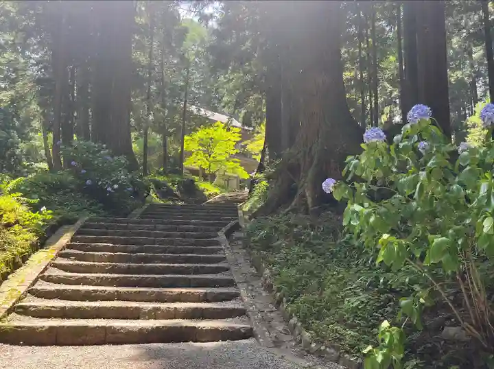 最乗寺(道了尊)(神奈川県)