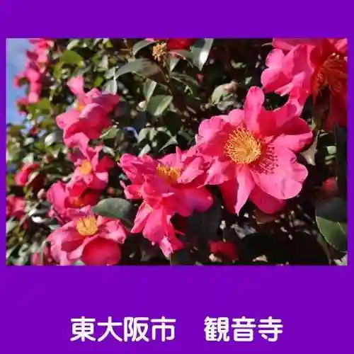 観音寺(大阪府)