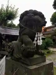 鳩ヶ谷氷川神社の狛犬