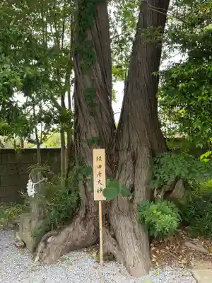 星宮神社の{uncategorized: "未分類", other: "その他", undefined: "問題あり", building: "その他建物", grave: "お墓", sacred_gate: "鳥居", guardian: "狛犬", statue: "像", buddha: "仏像", history: "歴史", nature: "自然", garden: "庭園", animal: "動物", pagoda: "塔", temizu: "手水舎", mountain_gate: "山門・神門", sanctuary: "本殿・本堂", subordinate: "末社・摂社", art: "芸術", scenery: "景色", jizo: "地蔵", ema: "絵馬", goshuin: "御朱印", omikuji: "おみくじ", items: "授与品その他", amulet: "お守り", goshuincho: "御朱印帳", eats: "食事", festival: "お祭り", votive_dance: "神楽", shichigosan: "七五三参", wedding: "結婚式", experience: "体験その他", initially: "初詣", around: "周辺", anti_infection: "感染症対策"}