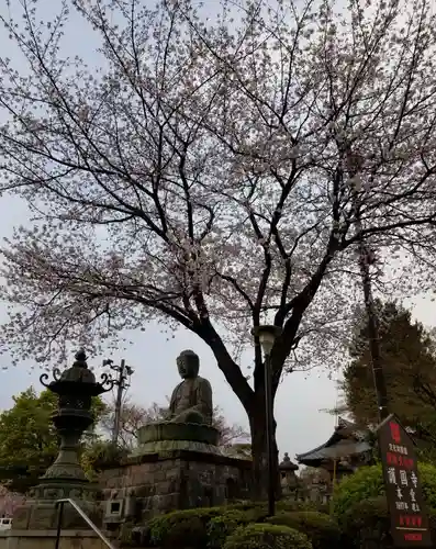 護国寺の仏像