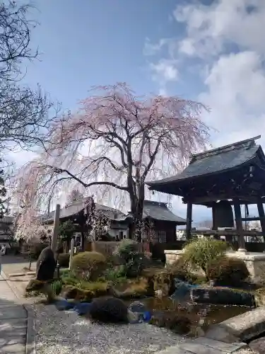 東光寺の{uncategorized: "未分類", other: "その他", undefined: "問題あり", building: "その他建物", grave: "お墓", sacred_gate: "鳥居", guardian: "狛犬", statue: "像", buddha: "仏像", history: "歴史", nature: "自然", garden: "庭園", animal: "動物", pagoda: "塔", temizu: "手水舎", mountain_gate: "山門・神門", sanctuary: "本殿・本堂", subordinate: "末社・摂社", art: "芸術", scenery: "景色", jizo: "地蔵", ema: "絵馬", goshuin: "御朱印", omikuji: "おみくじ", items: "授与品その他", amulet: "お守り", goshuincho: "御朱印帳", eats: "食事", festival: "お祭り", votive_dance: "神楽", shichigosan: "七五三参", wedding: "結婚式", experience: "体験その他", initially: "初詣", around: "周辺", anti_infection: "感染症対策"}