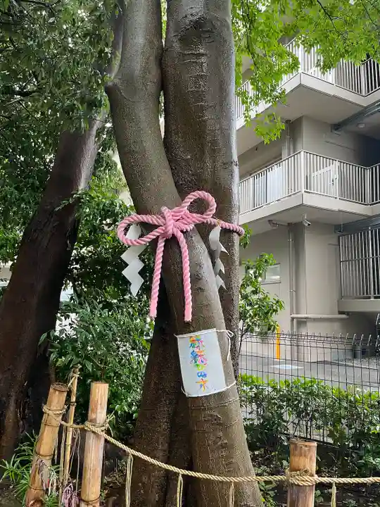 伊和志津神社(兵庫県)