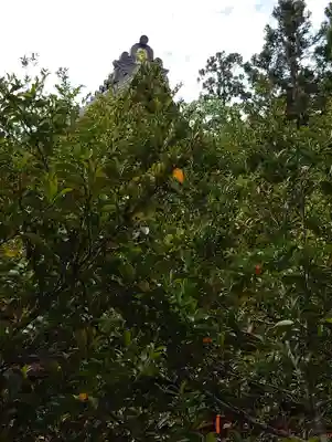 愛宕神社(宮城県)