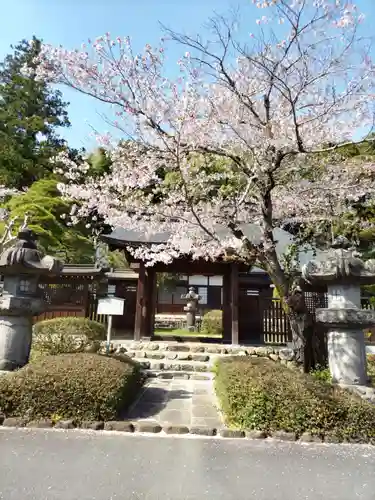 長光寺の庭園