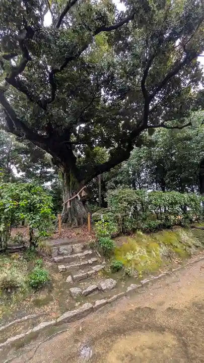 新日吉神宮(京都府)