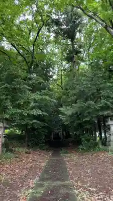 春日神社(埼玉県)