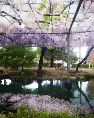 秋葉神社(愛知県)