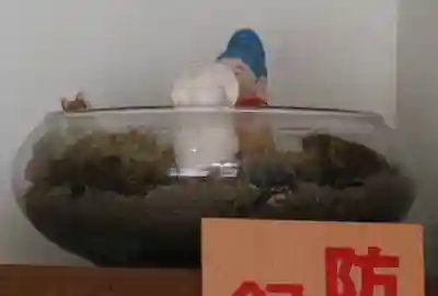 岡寺(龍蓋寺)(奈良県)