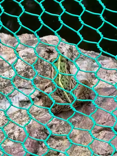 彌美神社(福井県)