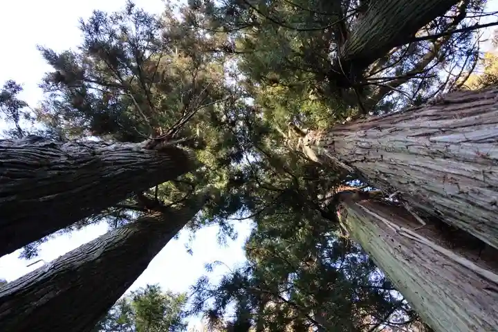 鹿島大神宮の自然