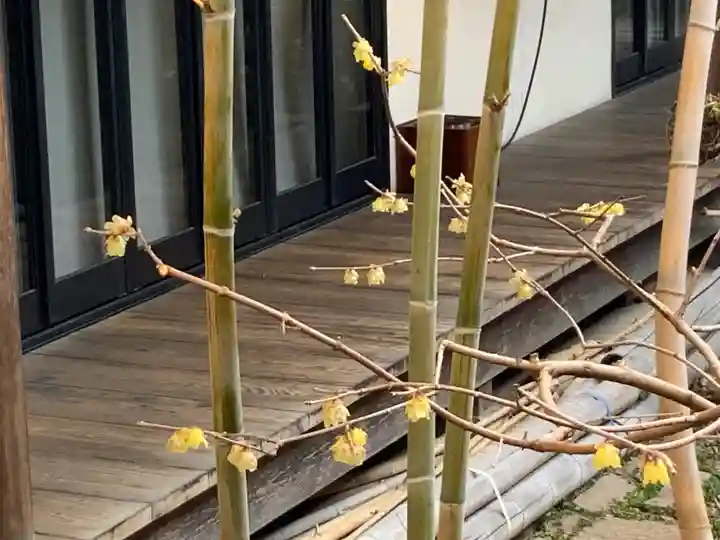 遠照山 光明寺(尼崎大仏)(兵庫県)