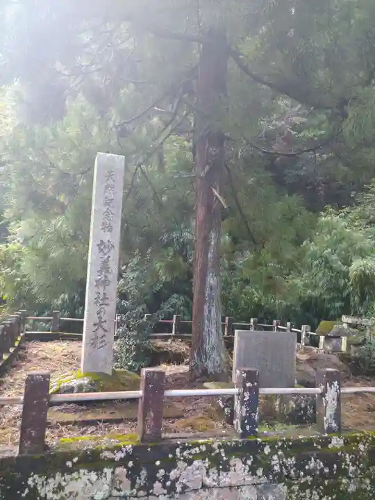 妙義神社のその他建物