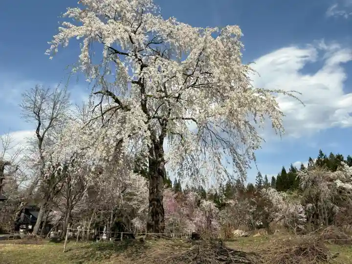 貞麟寺(長野県)
