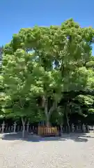 巴江神社(愛知県)