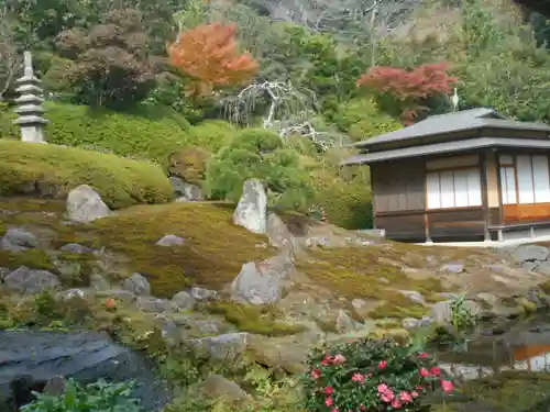 海蔵寺の景色