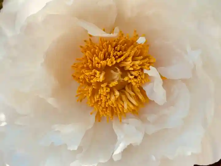 滑川神社 - 仕事と子どもの守り神の自然