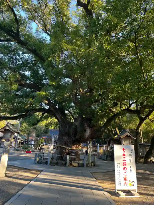 大麻比古神社(徳島県)