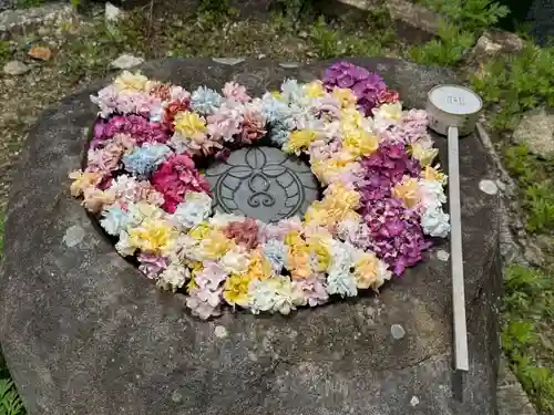 柳谷観音　楊谷寺(京都府)