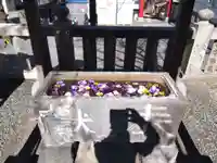 元町厳島神社の手水舎