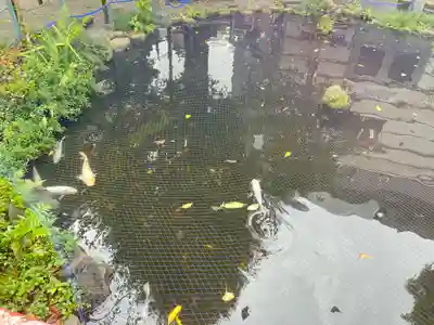 小梳神社(静岡県)
