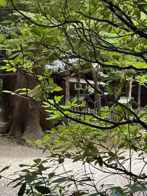靖國神社(東京都)