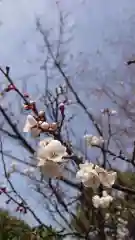 相馬神社(北海道)