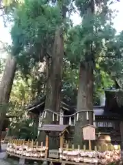 高千穂神社(宮崎県)