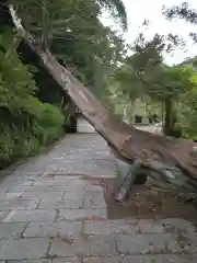 日運寺の建物その他